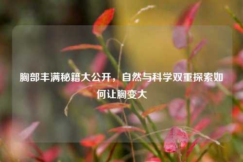 胸部丰满秘籍大公开,自然与科学双重探索如何让胸变大