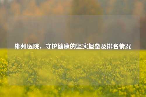 郴州医院，守护健康的坚实堡垒及排名情况