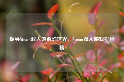 探寻Steam双人游奇幻世界，Steam双人游戏排行榜