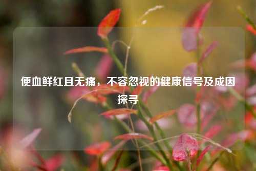 便血鲜红且无痛，不容忽视的健康信号及成因探寻