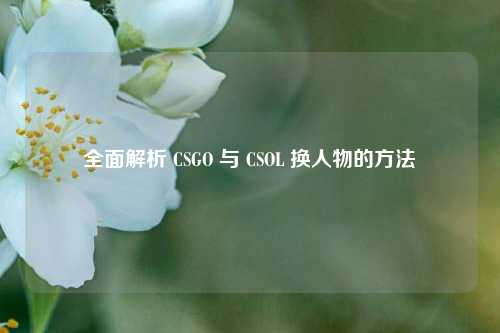 全面解析 CSGO 与 CSOL 换人物的方法