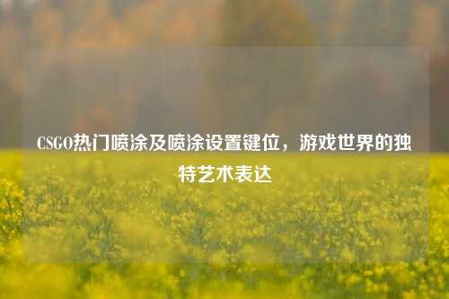 CSGO热门喷涂及喷涂设置键位，游戏世界的独特艺术表达