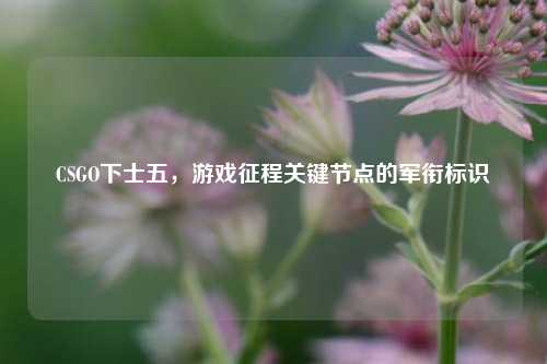 CSGO下士五，游戏征程关键节点的军衔标识
