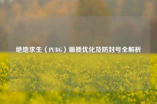 绝地求生(PUBG)画质优化及防封号全解析