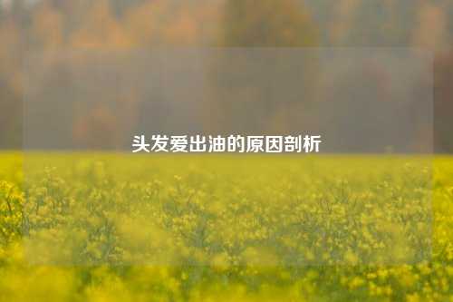 头发爱出油的原因剖析