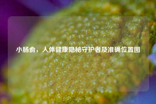 小肠俞,人体健康隐秘守护者及准确位置图