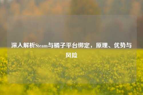 深入解析Steam与橘子平台绑定,原理、优势与风险
