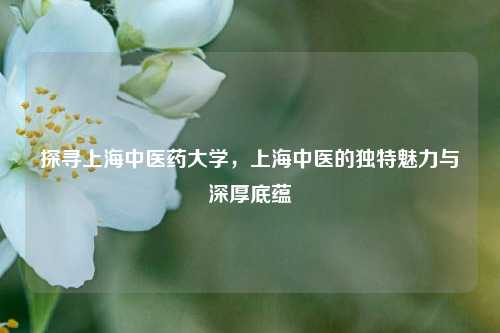 探寻上海中医药大学,上海中医的独特魅力与深厚底蕴