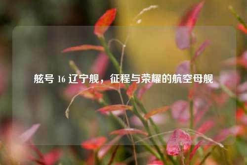 舷号 16 辽宁舰，征程与荣耀的航空母舰