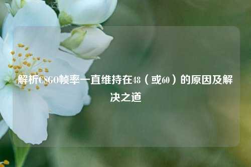 解析CSGO帧率一直维持在48（或60）的原因及解决之道