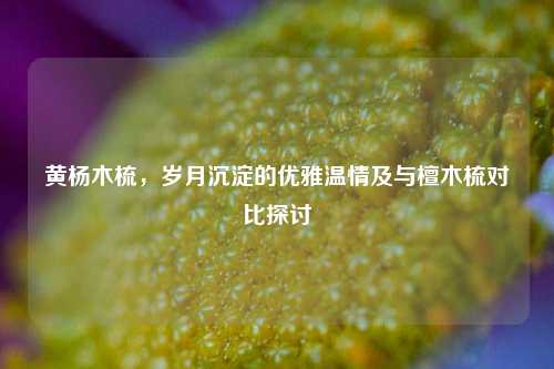 黄杨木梳,岁月沉淀的优雅温情及与檀木梳对比探讨
