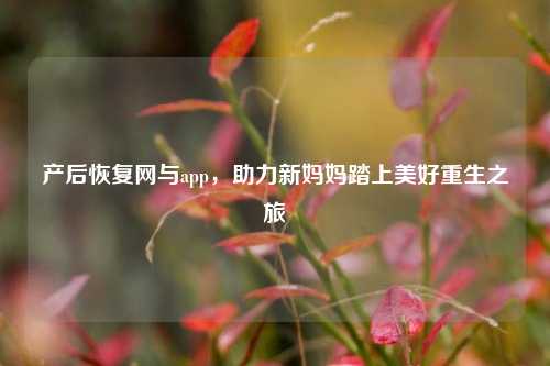 产后恢复网与app，助力新妈妈踏上美好重生之旅