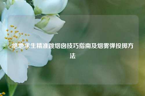 绝地求生精准跳烟囱技巧指南及烟雾弹投掷方法