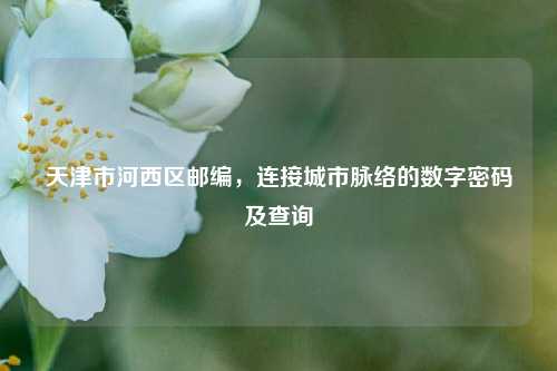 天津市河西区邮编，连接城市脉络的数字密码及查询