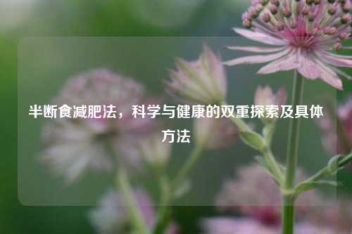 半断食减肥法,科学与健康的双重探索及具体方法