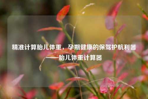 精准计算胎儿体重，孕期健康的保驾护航利器——胎儿体重计算器