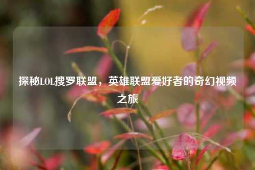 探秘LOL搜罗联盟,英雄联盟爱好者的奇幻视频之旅