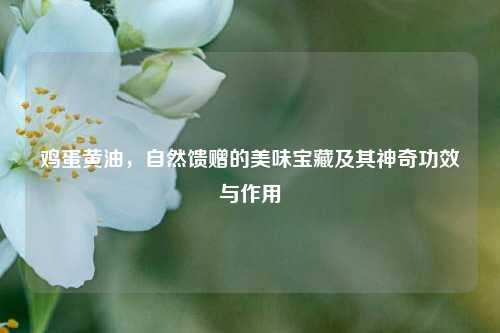 鸡蛋黄油,自然馈赠的美味宝藏及其神奇功效与作用