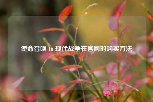 使命召唤 16 现代战争在官网的购买方法