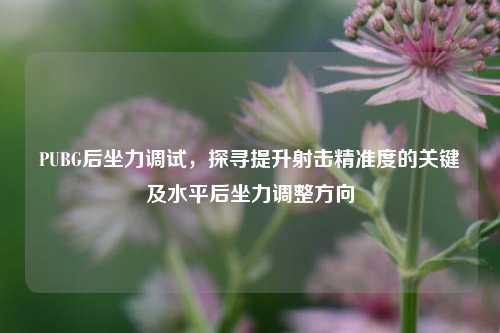 PUBG后坐力调试，探寻提升射击精准度的关键及水平后坐力调整方向