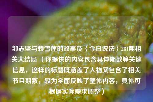 邹志坚与赖雪莲的故事及〈今日说法〉281期相关大结局 (你提供的内容包含具体期数等关键信息,这样的标题既涵盖了人物又包含了相关节目期数,较为全面反映了整体内容,具体可根据实际需求调整)