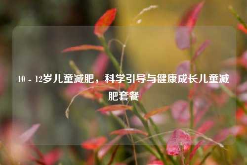 10 - 12岁儿童减肥，科学引导与健康成长儿童减肥套餐