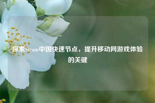 探索Steam中国快速节点，提升移动网游戏体验的关键