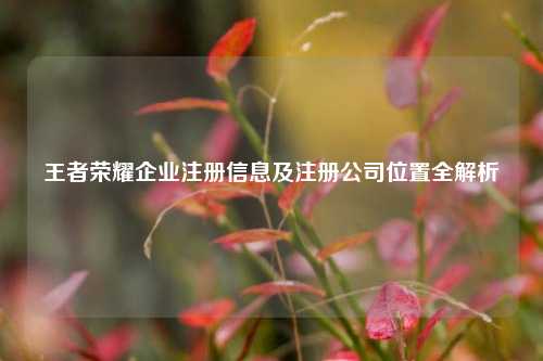 王者荣耀企业注册信息及注册公司位置全解析