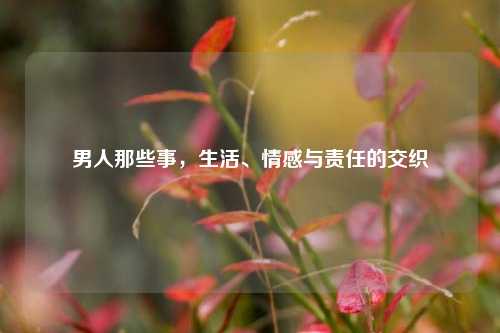 男人那些事，生活、情感与责任的交织