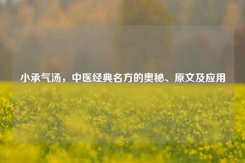 小承气汤，中医经典名方的奥秘、原文及应用