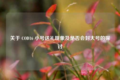 关于 COD16 小号送礼现象及是否会封大号的探讨