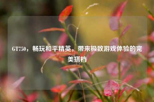 GT750，畅玩和平精英，带来极致游戏体验的完美搭档