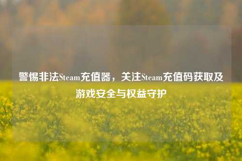 警惕非法Steam充值器，关注Steam充值码获取及游戏安全与权益守护