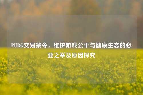 PUBG交易禁令，维护游戏公平与健康生态的必要之举及原因探究